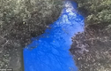 “Điên đầu” giải mã dòng sông xanh kỳ dị ở Anh