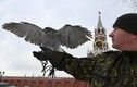 Khám phá "đội cảnh vệ bay" bảo vệ dinh thự Tổng thống Putin