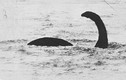 Thực hư thông tin quái vật hồ Loch Ness vẫn còn sống