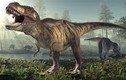 Hàng trăm dấu chân khủng long "khủng" tiết lộ điều thú vị