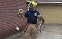Kịch tính giải cứu 100 con rắn bên trong ngôi nhà cháy 