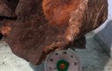 Choáng cây nấm chò "khủng" 70kg trong rừng Quảng Nam
