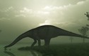 Phát hiện đặc biệt xương khủng long khổng lồ dài nhất thế giới
