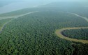 Bí ẩn quanh rừng Amazon, khoa học "giật mình" lý giải