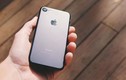 Đây là lý do Apple muốn ra mắt iPhone 9 giá rẻ sớm