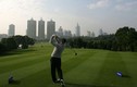 Trung Quốc truy quét “hổ lớn” ở các sân golf 