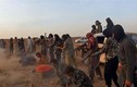 Phiến quân IS hành quyết ít nhất 400 người ở Palmyra
