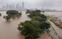 Hình ảnh bão lụt tàn phá bang Texas 