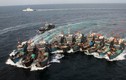 Tàu đánh cá Trung Quốc càn quét khắp thế giới