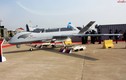 Nhật Bản cân nhắc bắn hạ UAV Trung Quốc 
