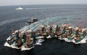 Vì sao Trung Quốc lập ra đội tàu đánh cá Biển Đông?