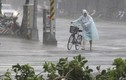 Siêu bão Soudelor tàn phá Đài Loan, hướng đến Trung Quốc 
