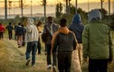 IS lợi dụng khủng hoảng tị nạn để xâm nhập Châu Âu? 