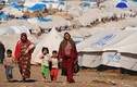 Ả-rập Xê-út đã tiếp nhận 2,5 triệu người tị nạn Syria