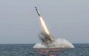 Triều Tiên thử nghiệm thành công tên lửa phóng từ tàu ngầm