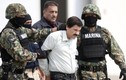 “Ông trùm” El Chapo cai trị cả nhà tù