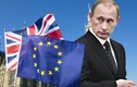 Brexit: Tổng thống Putin “ngư ông đắc lợi”