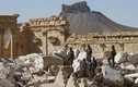 Sắp thất thủ Raqqa, phiến quân IS mưu toan tái chiếm Palmyra