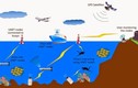 Bật mí Hệ thống giám sát ngầm của Trung Quốc ở Thái Bình Dương