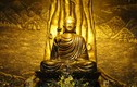 Lời Phật dạy giữa có và không