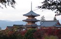 Khám phá di tích lịch sử tiêu biểu của Kyoto