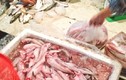 Lo ngại cá khoai ướp chất cấm
