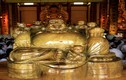 An vị tượng Phật bằng gỗ thủy tùng gần 200 triệu năm
