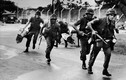 Ảnh độc: Những giờ cuối cùng trong Chiến tranh Việt Nam 