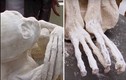 Phát hiện mới nhất về xác ướp “người ngoài hành tinh” ở Peru
