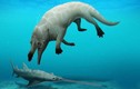 Kinh ngạc cá voi 4 chân, hung hăng “thiện chiến” như khủng long 