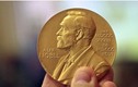 Điểm danh các ứng viên tiềm năng cho Giải Nobel danh giá năm 2021