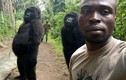 Con khỉ đột nổi tiếng vì selfie ở Congo qua đời