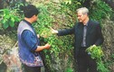 GS-TS Phạm Thanh Kỳ: Người tìm ra cây giảo cổ lam ở Việt Nam 