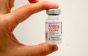 Moderna sẽ có vắc xin chống biến chủng Omicron vào đầu năm 2022