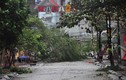 Quảng Ninh “hứng” siêu bão, chưa thiệt hại về người