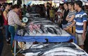 Mục kích chợ hải sản “giãy đành đạch” Cửa Lò