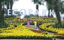 Điều trông thấy ở lễ hội hoa Xuân Ecopark