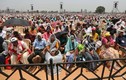 Ấn Độ: Nhiều người chết do say nắng khi tham dự sự kiện ngoài trời