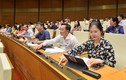 Quốc hội họp về công tác nhân sự vào ngày cuối kỳ họp