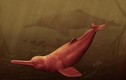 Cá heo đỏ 16 triệu tuổi và loạt thủy quái kỳ dị gây ám ảnh