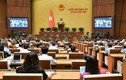 Hôm nay, Quốc hội thảo luận về cơ chế đặc thù phát triển Nghệ An, Đà Nẵng