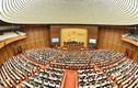 Ngày 17/6, Quốc hội thảo luận về giảm thuế giá trị gia tăng