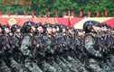 Chi tiết hoạt động trọng điểm kỷ niệm 50 năm Giải phóng miền Nam, thống nhất đất nước