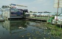 Phản cảm rác thải hôi thối quanh du thuyền hồ Tây