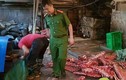 Bắt quả tang cơ sở chế biến hàng tấn thịt động vật không phép