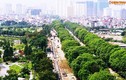 Chi phí chặt hạ hơn 1.000 cây xanh đường Phạm Văn Đồng là bao nhiêu?
