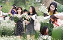 Điều gì ở làng hoa Nhật Tân đang làm các thiếu nữ “phát cuồng“?
