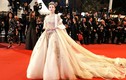 Mỹ nhân Trung Quốc bỏ hàng nghìn USD mua vé dự thảm đỏ Cannes