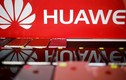 Huawei đuổi nhân viên Mỹ về nước