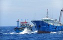 Một tàu cá Việt Nam bị 3 tàu Trung Quốc truy đuổi trên biển Đông